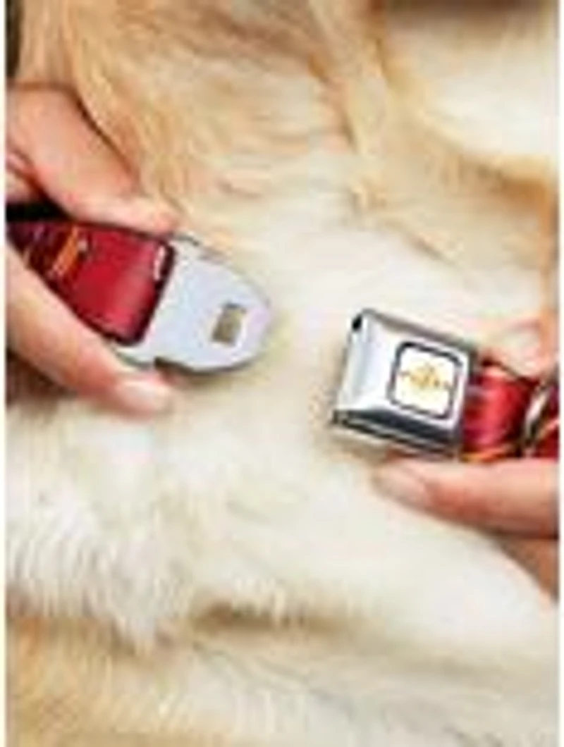 DC Comics The Flash 2023 Pose Close Ups Reds Seatbelt Buckle Dog Collar