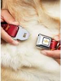 DC Comics The Flash 2023 Pose Close Ups Reds Seatbelt Buckle Dog Collar