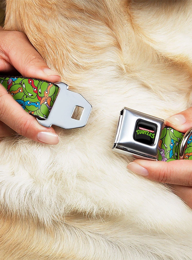 Teenage Mutant Ninja Turtles Faces Stacked Seatbelt Buckle Dog Collar
