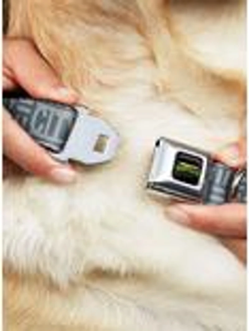 Teenage Mutant Ninja Turtles City Sewer Logo Seatbelt Buckle Dog Collar