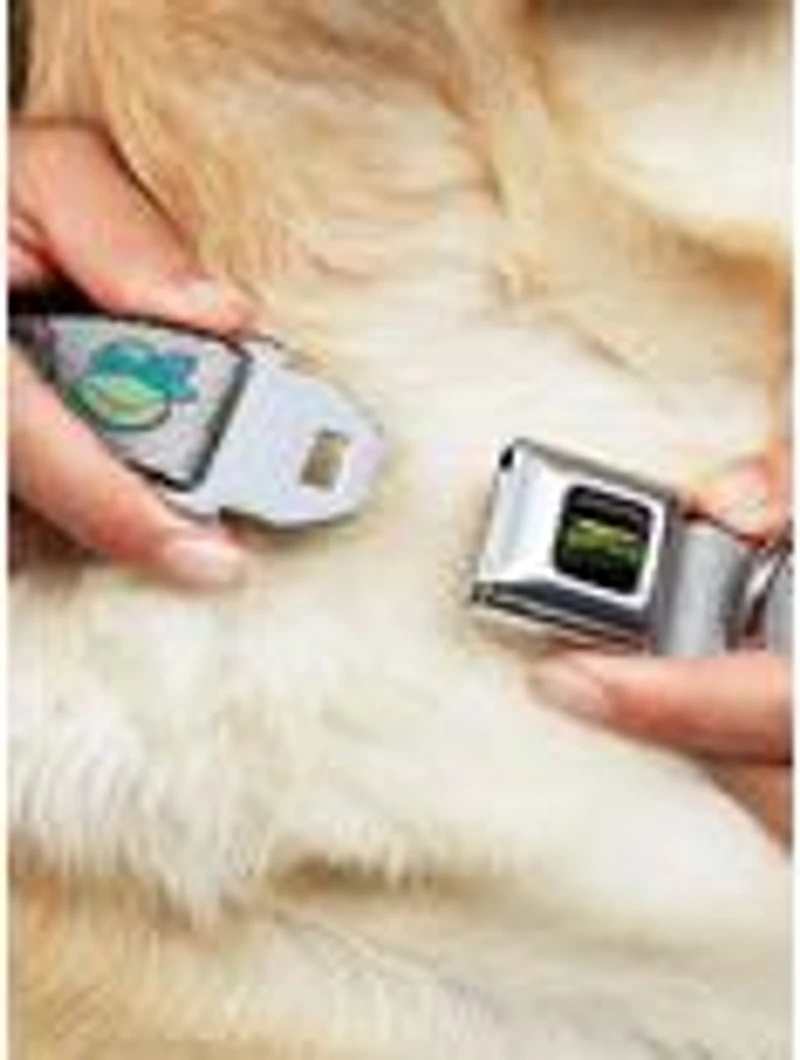 Teenage Mutant Ninja Turtles Expressions Seatbelt Buckle Dog Collar