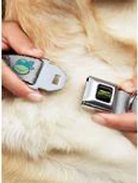 Teenage Mutant Ninja Turtles Expressions Seatbelt Buckle Dog Collar