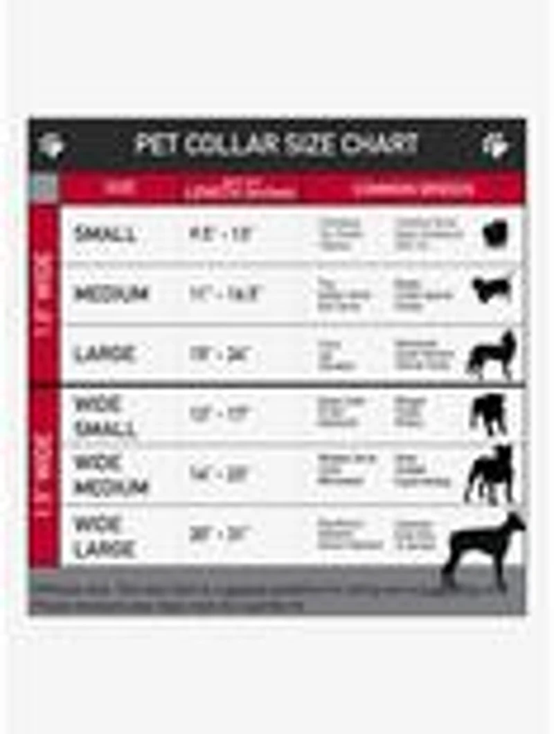 The Powerpuff Girls Expressions Stacked Seatbelt Buckle Dog Collar