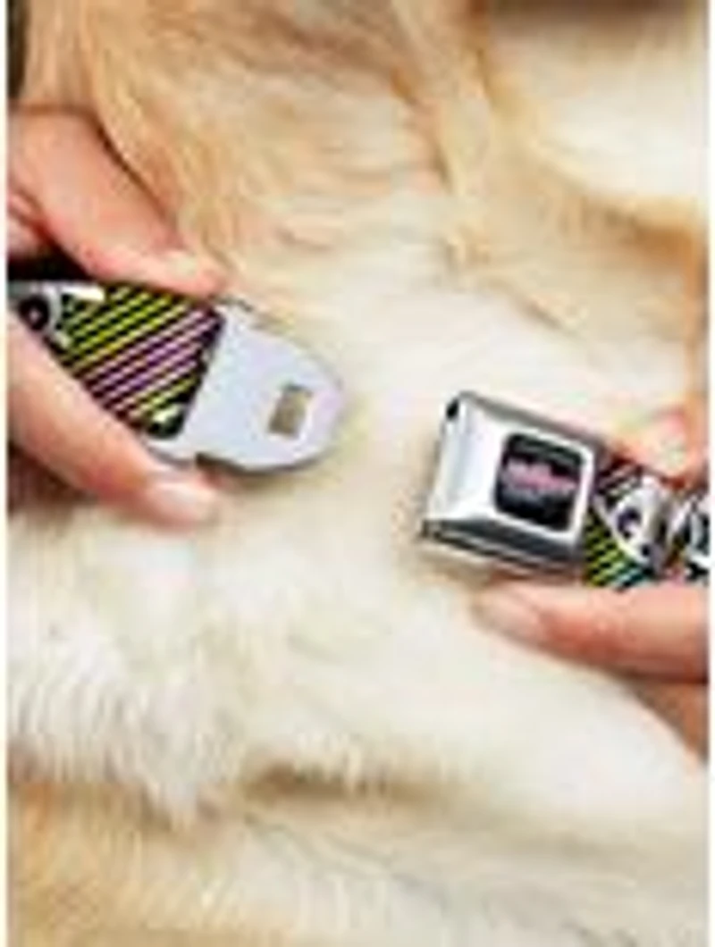 The Powerpuff Girls and Donny Stripe Seatbelt Buckle Dog Collar