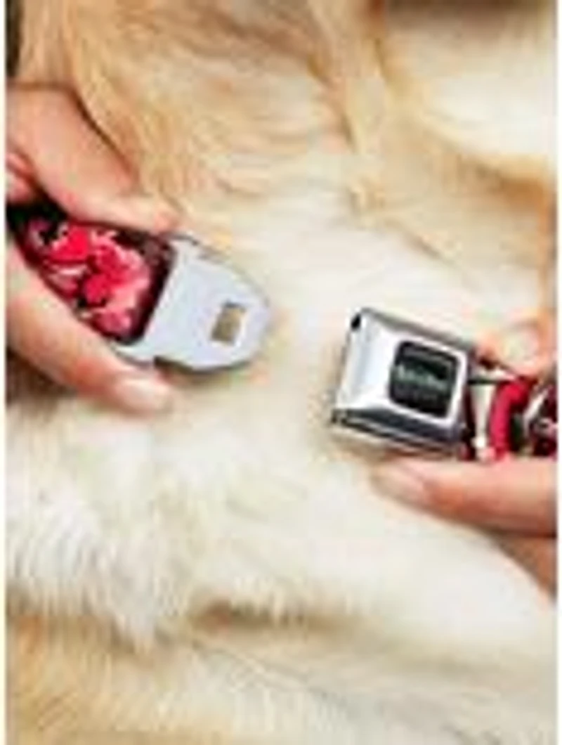 Rick and Morty Anatomy Park Collage Seatbelt Buckle Dog Collar