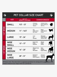 Rick and Morty Anatomy Park Collage Seatbelt Buckle Dog Collar