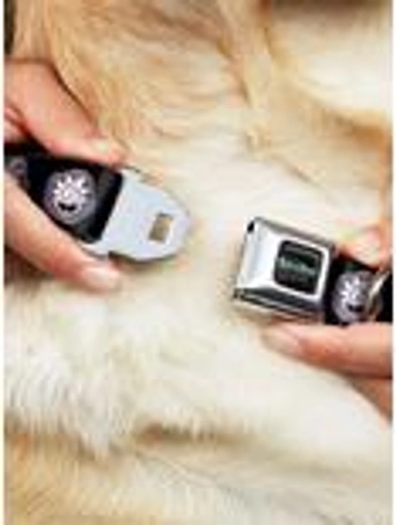 Rick and Morty Vaporwave Bullseye Seatbelt Buckle Dog Collar