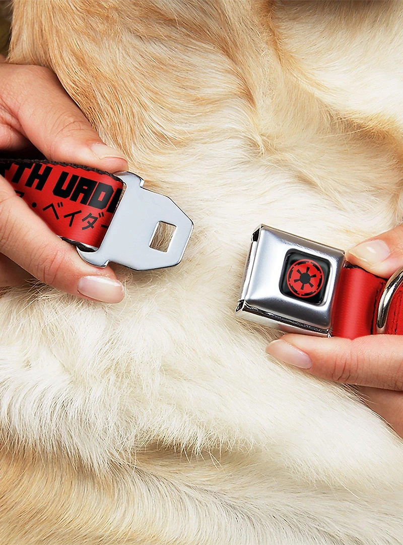 Star Wars Darth Vader Text and Galactic Empire Seatbelt Buckle Dog Collar