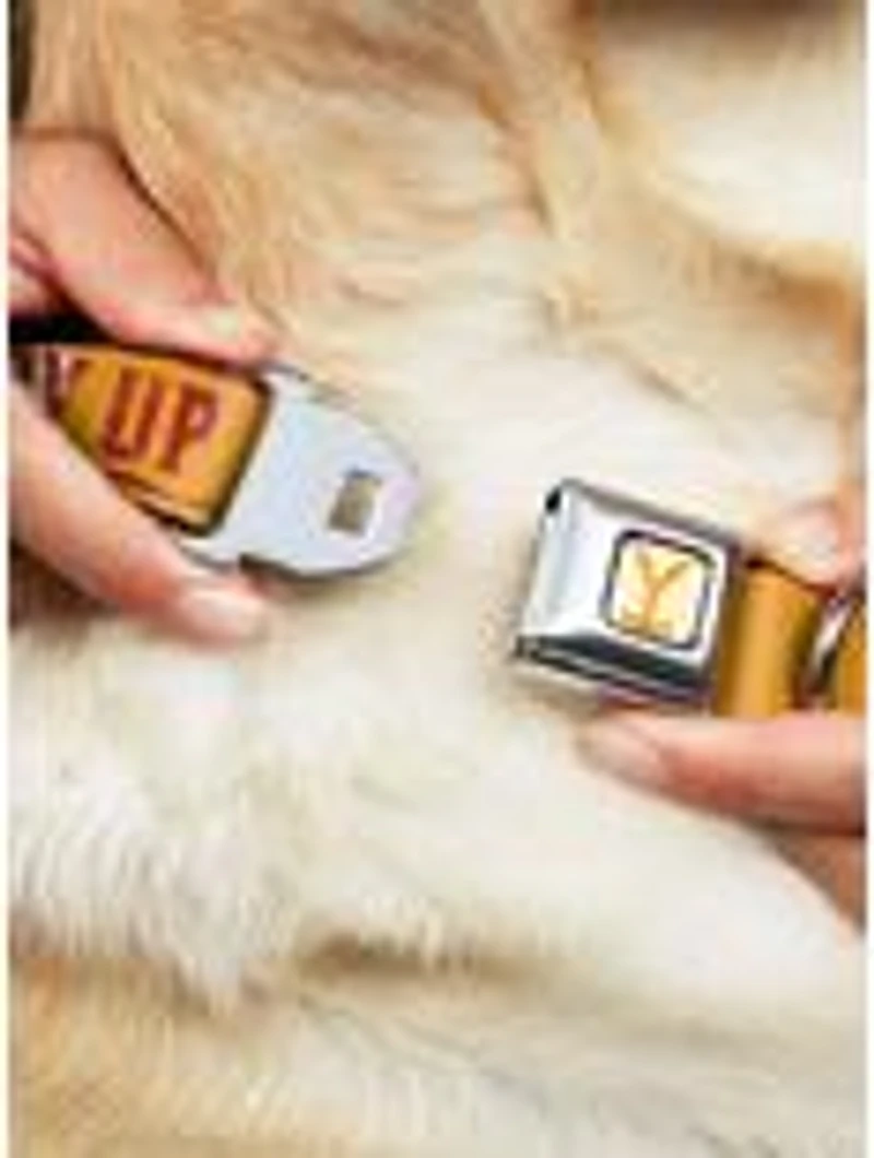 Yellowstone Y Logo Cowboy Up Seatbelt Buckle Dog Collar