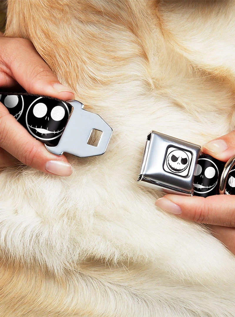 Disney Nightmare Before Christmas Jack Expressions Seatbelt Buckle Dog Collar