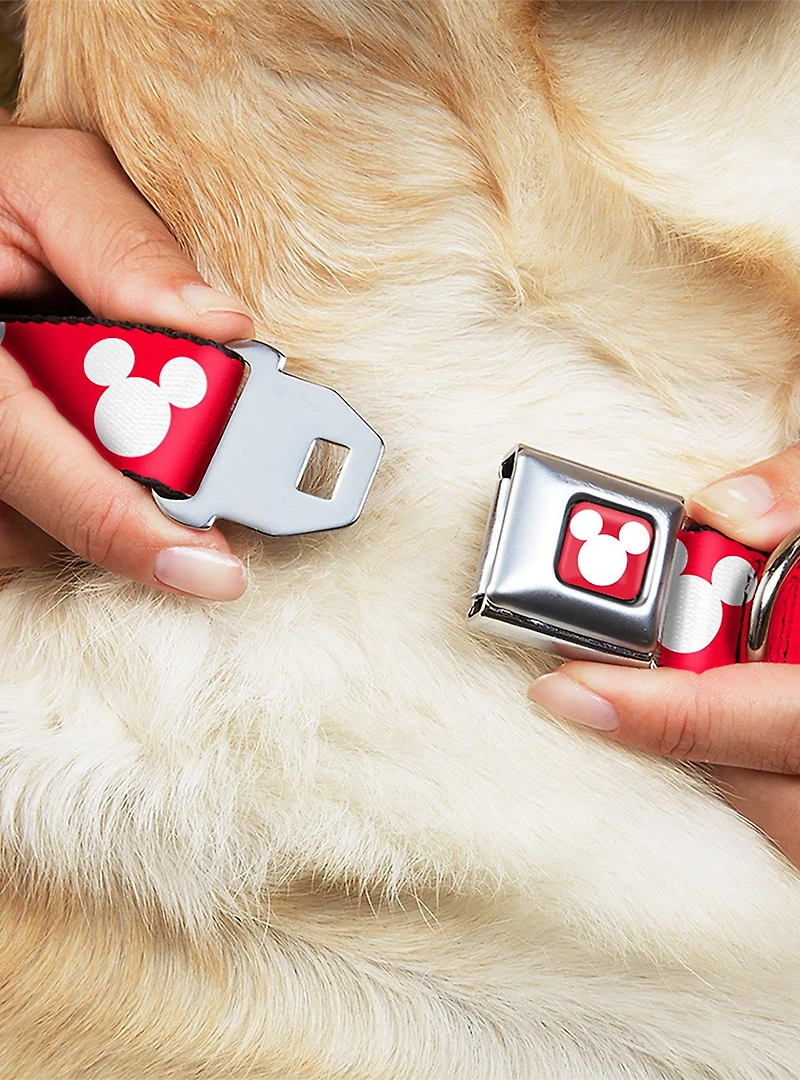 Disney Mickey Mouse Ears Icon Seatbelt Buckle Dog Collar