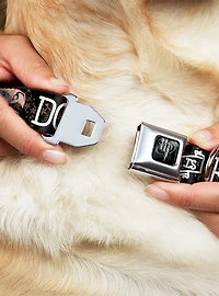 Harry Potter Dobby Is Free Star Swirls Seatbelt Buckle Dog Collar