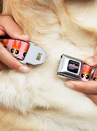 The Powerpuff Girls Blossom Face Close Up Seatbelt Buckle Dog Collar
