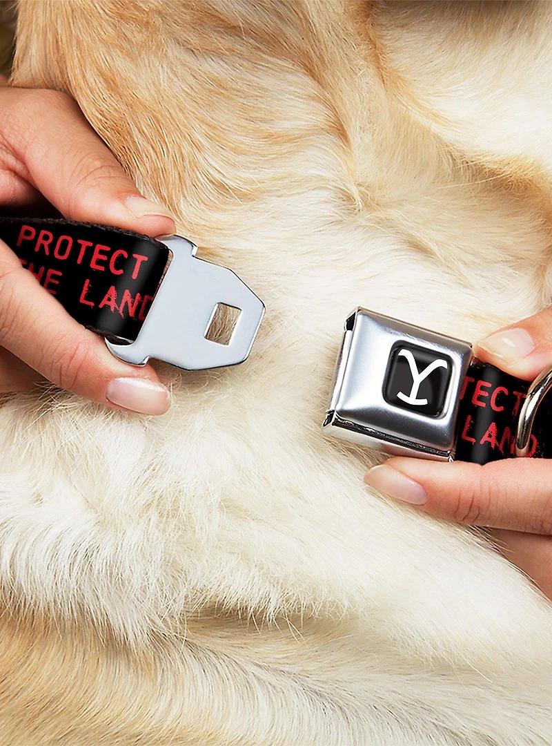 Yellowstone Dutton Ranch 1886 Icons Seatbelt Buckle Dog Collar