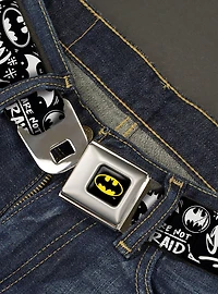 DC Comics Batman Gotham City Graffiti Collage Youth Seatbelt Belt