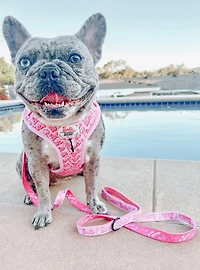 Barbie x Sassy Woof Malibu Dog Leash