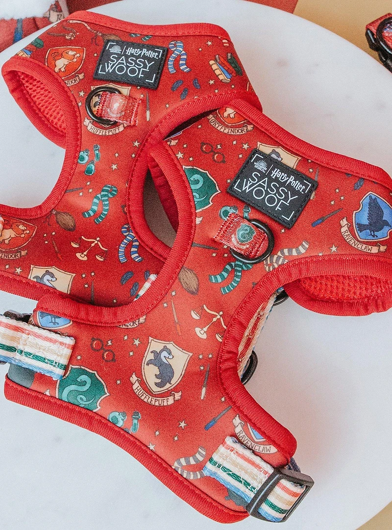 Harry Potter x Sassy Woof Adjustable Dog Harness