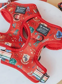 Harry Potter x Sassy Woof Adjustable Dog Harness