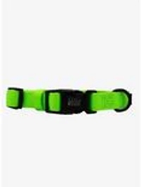 Sassy Woof Neon Green Dog Walk Bundle