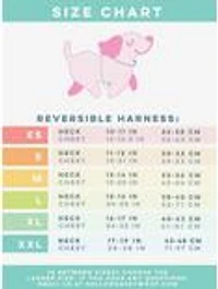 Sassy Woof Serving Up Sass Dog Harness and Leash Bundle