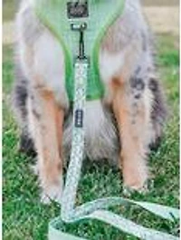 Sassy Woof Serving Up Sass Dog Harness and Leash Bundle