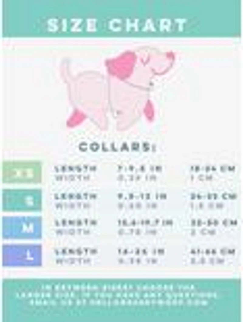 Barbie x Sassy Woof Malibu Dog Walk Bundle