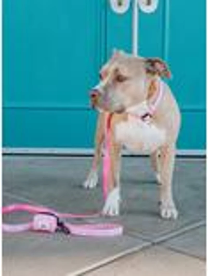 Barbie x Sassy Woof Malibu Dog Walk Bundle