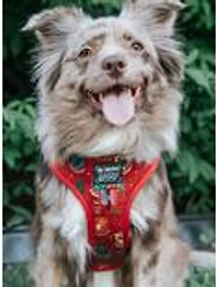 Harry Potter x Sassy Woof Dog Harness and Leash Bundle