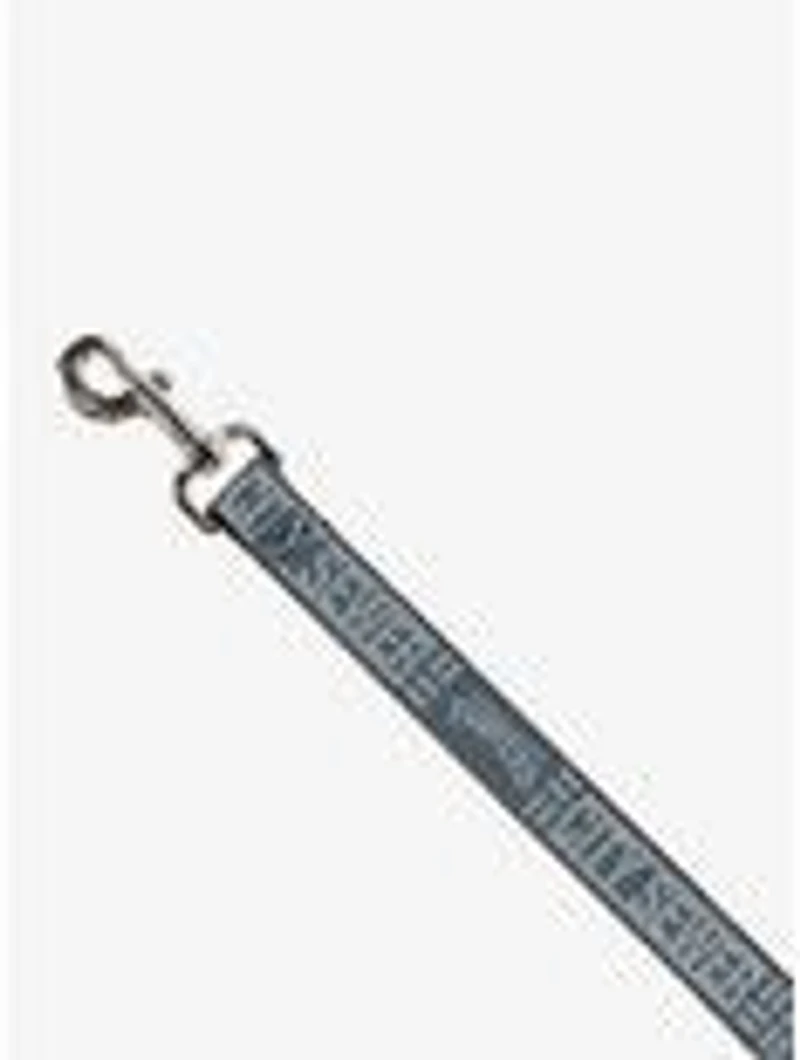 Teenage Mutant Ninja Turtles City Sewer Title Logo Dog Leash