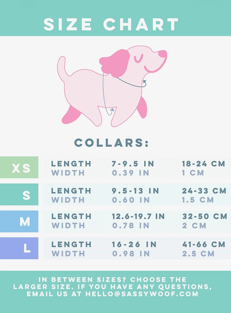 Barbie x Sassy Woof Closet Goals Dog Collar