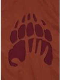 Disney Brother Bear Koda & Kenai Color Block Windbreaker — BoxLunch Exclusive