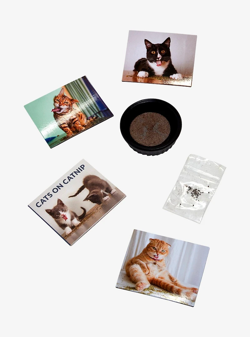 Cats on Catnip Grow-Your-Own Catnip Kit