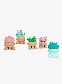 Hugging Succulents Series 2 Blind Box Figure