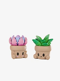 Hugging Succulents Series 2 Blind Box Figure