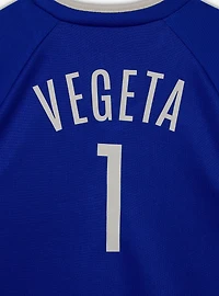 Dragon Ball Z Vegeta Saiyan Toddler Soccer Jersey — BoxLunch Exclusive