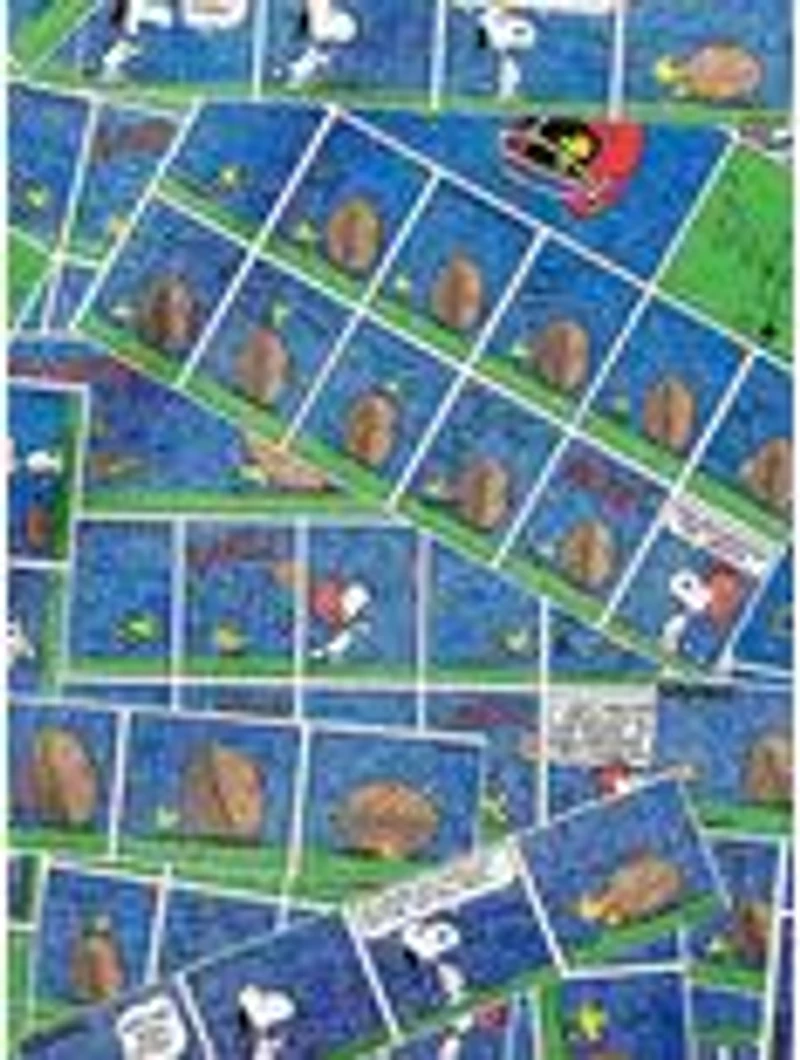 Team Snoopy Long Sleeve Raglan Youth Pajama Set