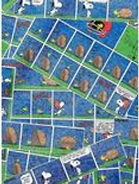 Team Snoopy Long Sleeve Raglan Youth Pajama Set