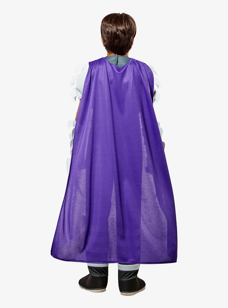Teenage Mutant Ninja Turtles Deluxe Retro Shredder Youth Costume