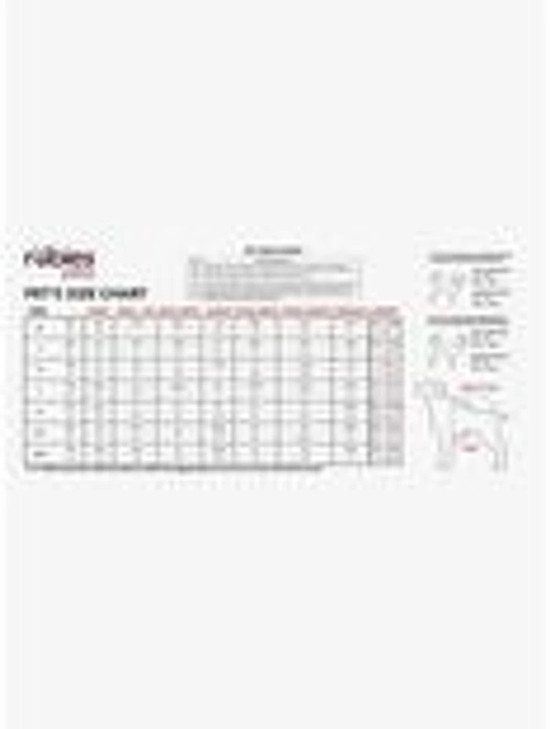 Peanuts Snoopy Walking Pet Costume