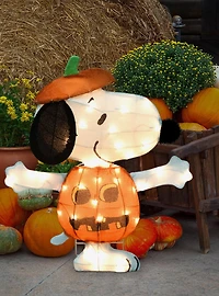 Peanuts Snoopy in Jack-O-Lantern PreLit Yard Decor