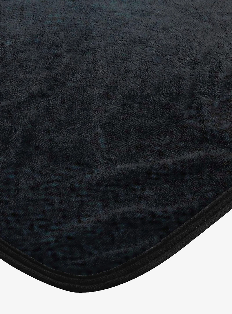The Hobbit Unexpected Journey Micro Raschel Throw