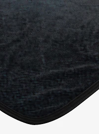 The Hobbit Unexpected Journey Micro Raschel Throw