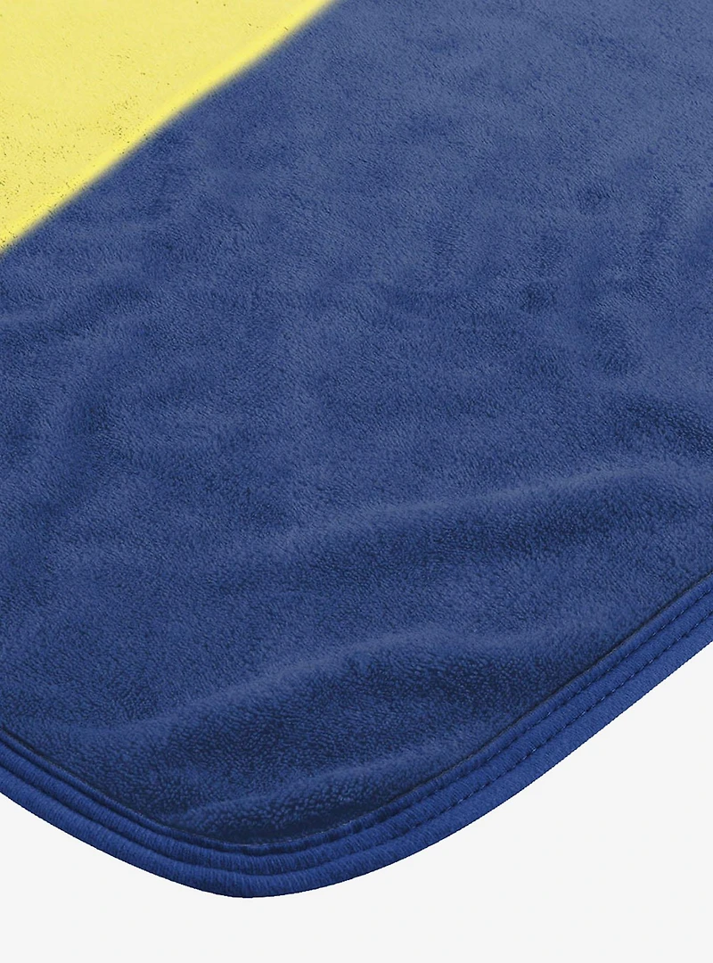 Looney Tunes Pop Art Bugs Micro Raschel Throw