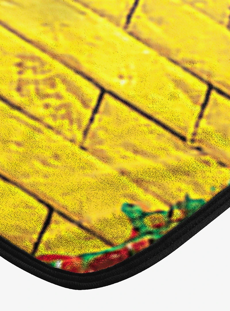 The Wizard of Oz We're Home Micro Raschel Throw