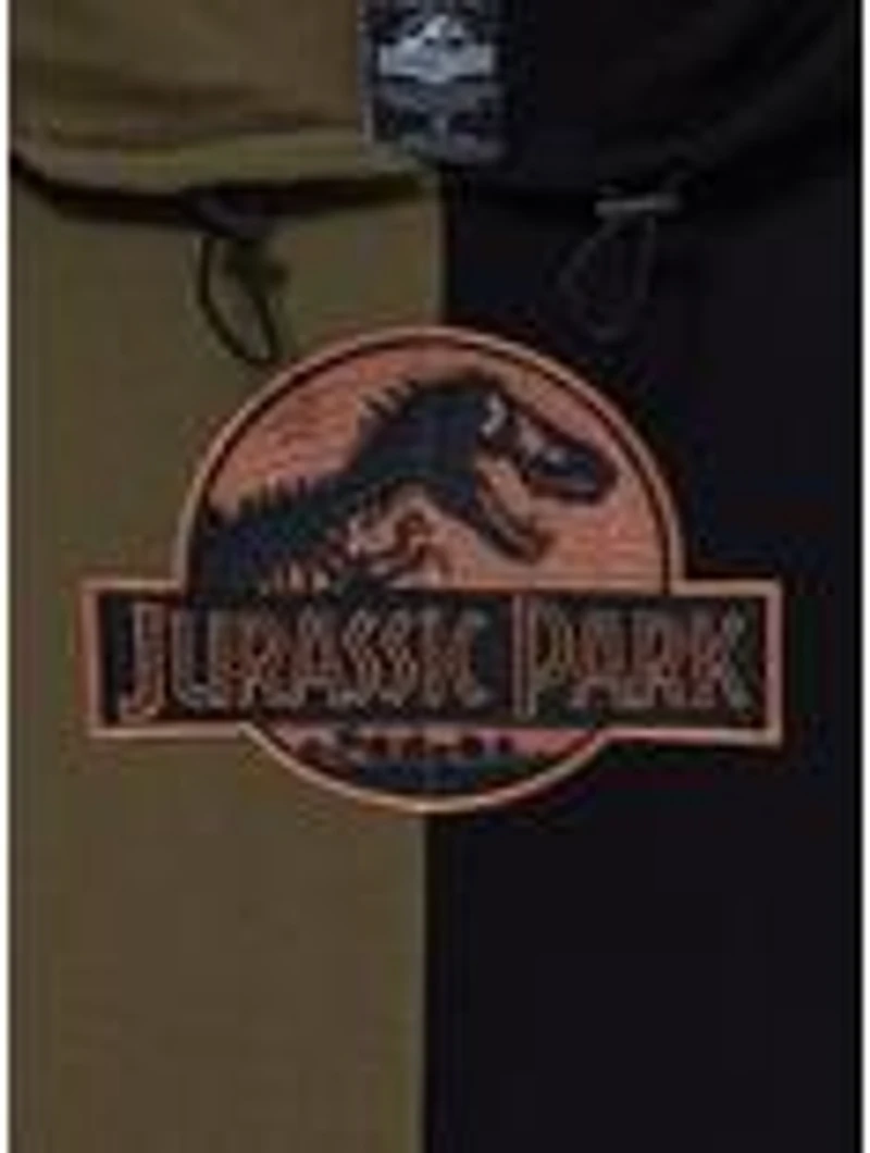 Jurassic Park Logo Color Block Hoodie - BoxLunch Exclusive