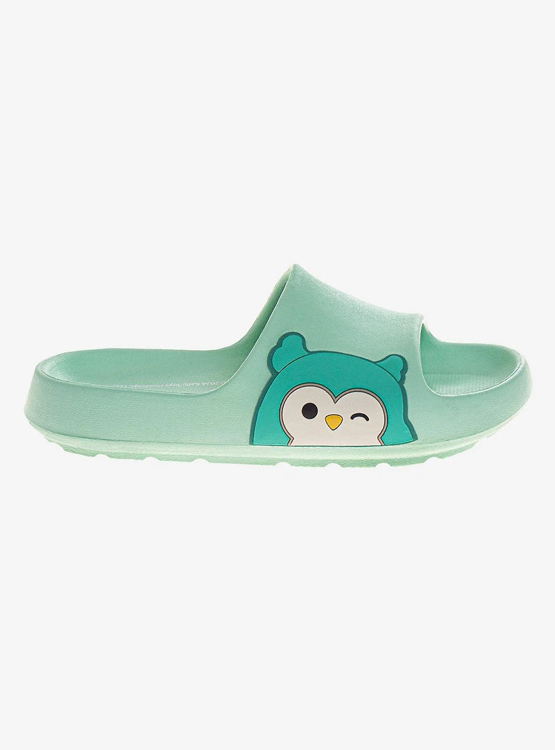 Squishmallows Winston The Owl Dual Sizes Youth Slides