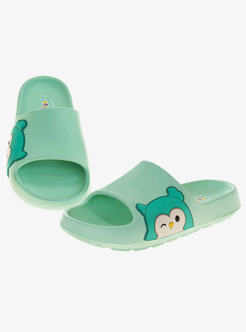 Squishmallows Winston The Owl Dual Sizes Youth Slides