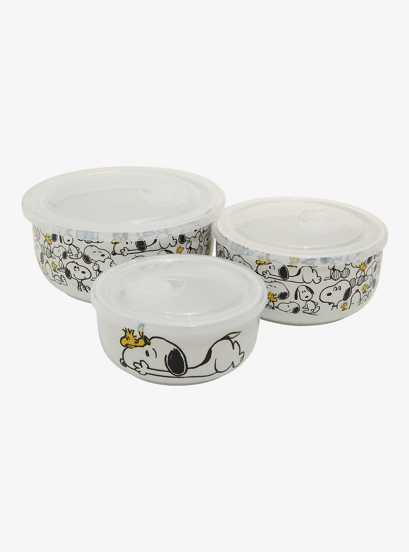 Peanuts Snoopy & Woodstock Food Storage Bowl & Lid Set