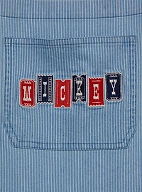 Disney Mickey Mouse Carnival Icons Women's Plus Striped Overalls