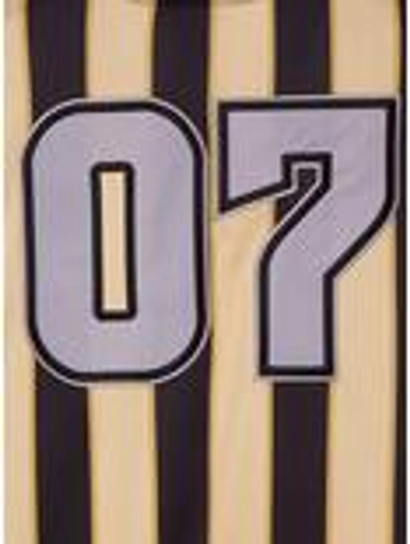 Harry Potter Hufflepuff Striped Jersey - BoxLunch Exclusive